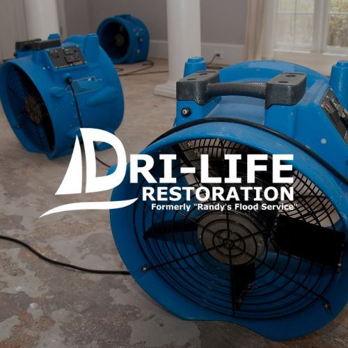 dri-life restoration logo